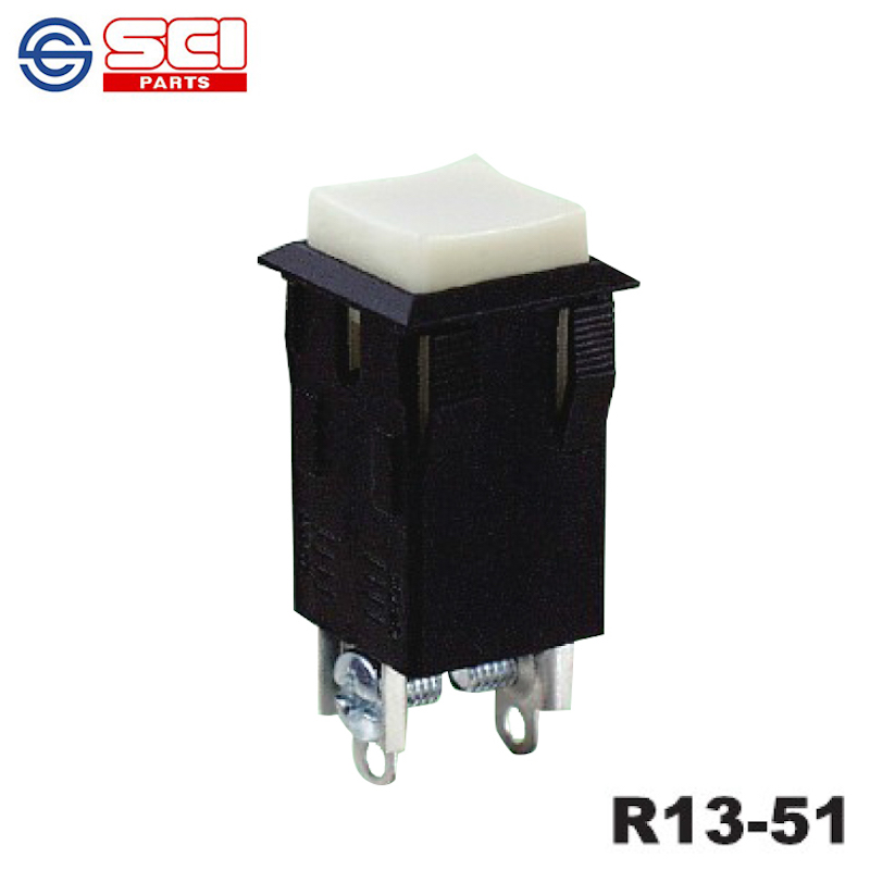 新進(jìn)SCI R13-51